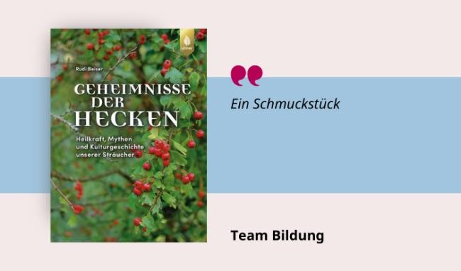 Geheimnisse der Hecken Medientipp und Buchcover Geheimnisse der Hecken