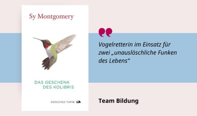 Das Geschenk des Kolibris Medientipp und Buchcover Das Geschenk des Kolibris