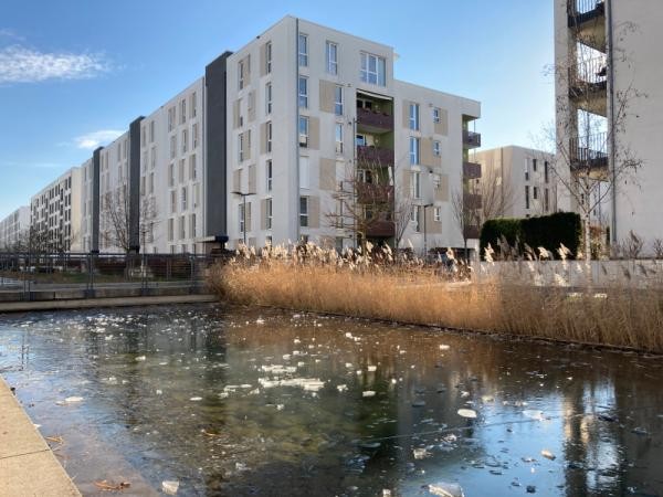 Zugefrorene Wasserbecken im Langen Anger (Foto: Stadt Heidelberg)
