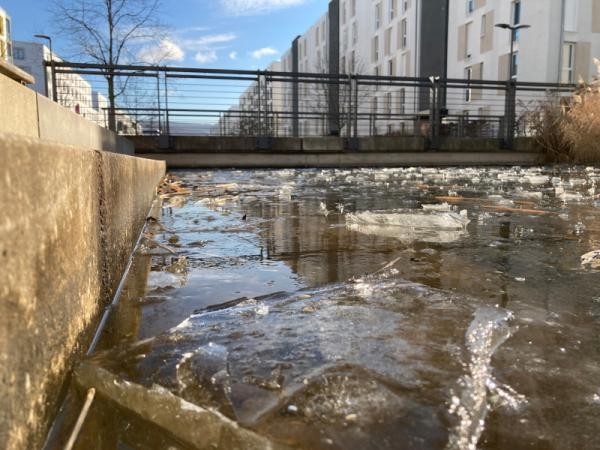 Eiskristall auf dem Wasser (Foto: Stadt Heidelberg) 
