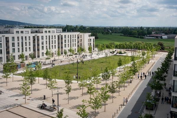 Treffpunkt in der Bahnstadt-Mitte: Die Pfaffengrunder Terrasse mit ihren zahlreichen Nutzungen – als Erholungsort, Treffpunkt und Areal für Bewegung – wurde mit dem Landschaftsarchitektur-Preis des Landes ausgezeichnet. (Foto: Christian Buck) Gebäude der Bahnstadt Heidelberg vor Wiese mit Bäumen