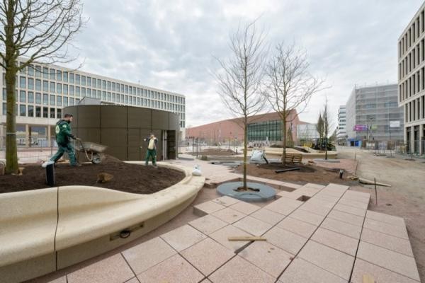Der Europaplatz wird grüner: rund 30 Bäume werden momentan gepflanzt. Besonders die unterirdischen Baumgruben sind eine Seltenheit. (Foto: Philipp Rothe) Bauarbeiten auf dem Europaplatz. Bäume werden auf der ansonsten asphaltierten Fläche gepflanzt.