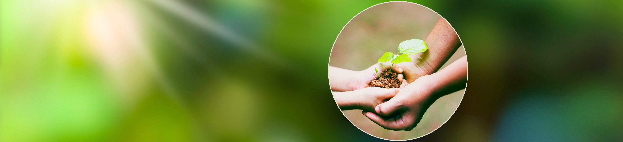 Pflanzentauschbörse (Foto: Canva)