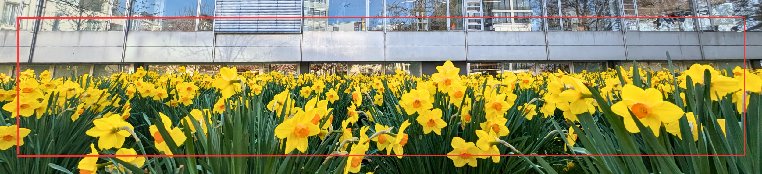 RNZ Forum (Foto: Christian Buck)