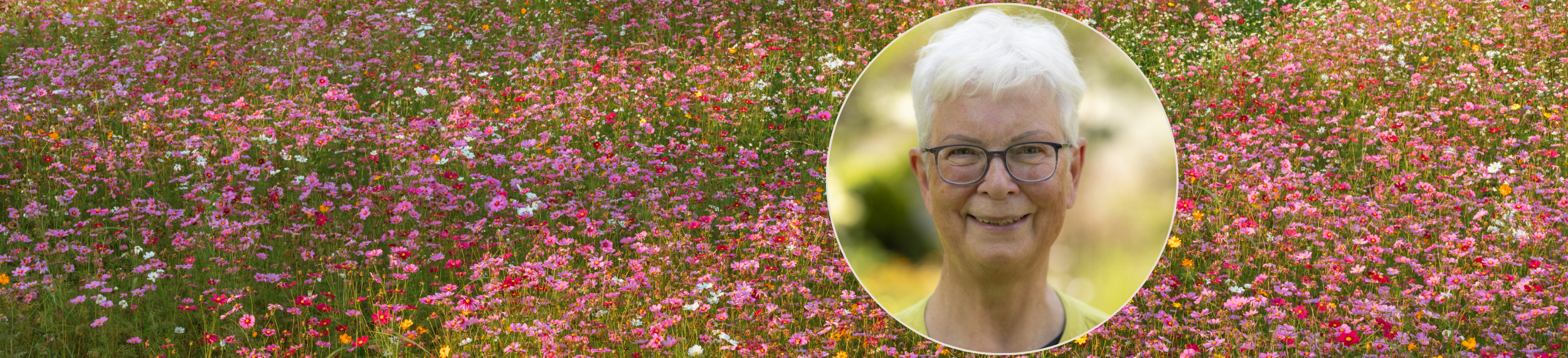 Anne Repnow (Foto: Sabine Knittel)