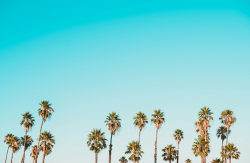 Monatsthema Juli (Bild: unsplash)
